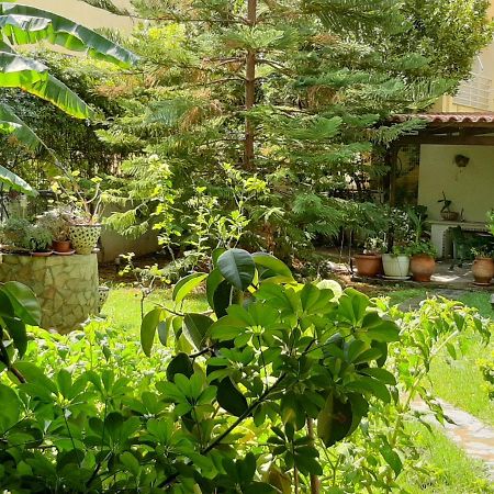 Lovely House Αθήνα Εξωτερικό φωτογραφία